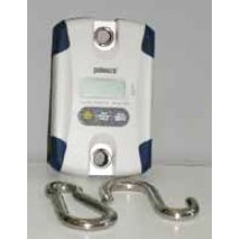 Digital Scale