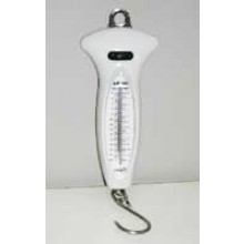 Economy Hanging Scale
