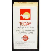 Today, Box of 12