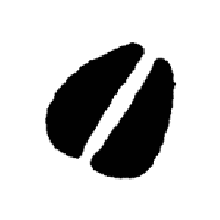 Hoof Print Rubber Stamp