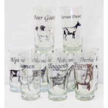 Goat Glasses, Set of Six
