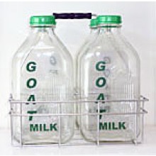 Milk Bottle Carrier with Four Milk Bottles