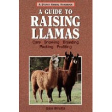 Raising Llamas, by Gale Birutta