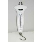 Economy Hanging Scale