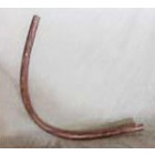 Replacement Outlet Hose for Pasteurizer