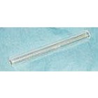 A.I. Speculum