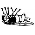 Fly Predator Insect Control, 5,000 - 25,000