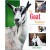 The Goat Handbook by Ulrich Jaudas & S. Mobini, D.V.M.