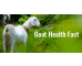 rokanthemes/blog/images/g/o/goat_heath_fact_1_.png