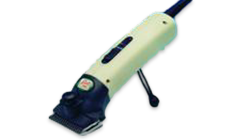 Grooming and Supplies for Shows
