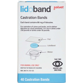 Lidoband Box of 40