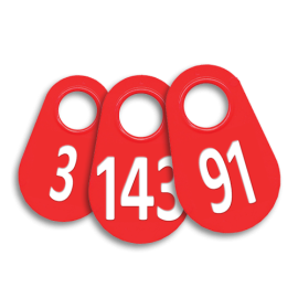 Number Tags