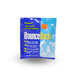 Nutritional Supplement Powder