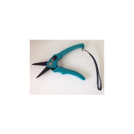 Green Hoof Trimmer