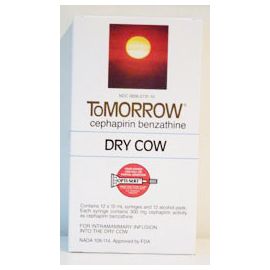 Tomorrow, Box of 12