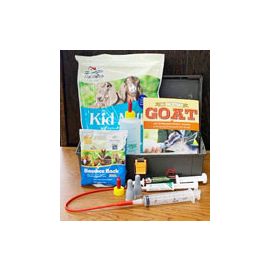 Kid Survival Kit