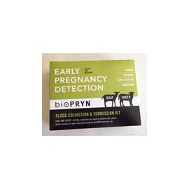 BioPRYN Early Pregnancy Detection Kit