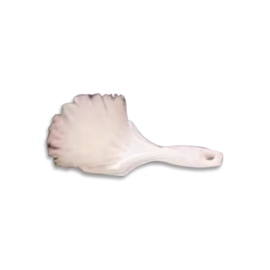 Clean-Up Brush