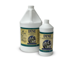 Dyne Nutritional Supplement Quart