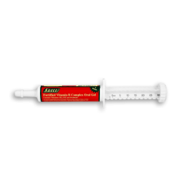Fortified Vitamin B Complex Oral Gel