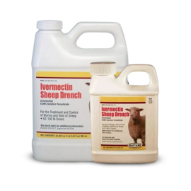 Ivermectin Drench