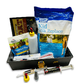 KID SURVIVAL KIT