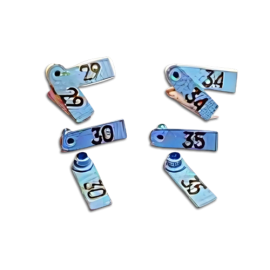 Numbered Ear Tags