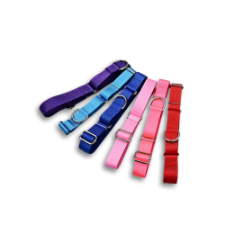 Nylon Kid Collars, 3 or More
