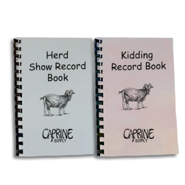 Record Books, Set of Any Two