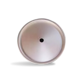 Replacement Lid for Aluminum Pail for Pasteurizer