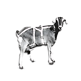 Udder Support